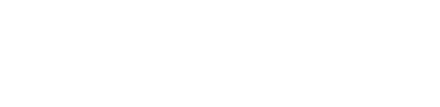 Institut Ramon Llull
