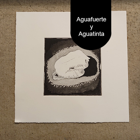 Curso: Grabado Calcográfico Aguafuerte y Aguatinta - Imagen 7